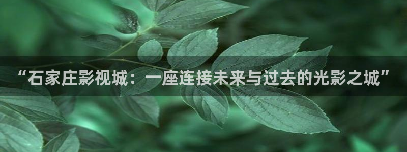 四虎影视 成人永久免费观看