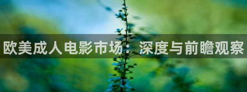 四虎影视海外网址