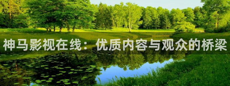 四虎影院在线一区：神马影视在线：优质内容与观众的桥梁