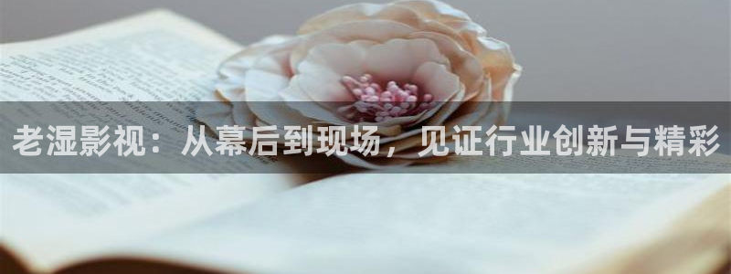 四虎影视1515hh