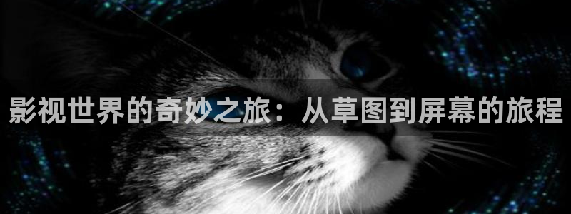 四虎影视久久久