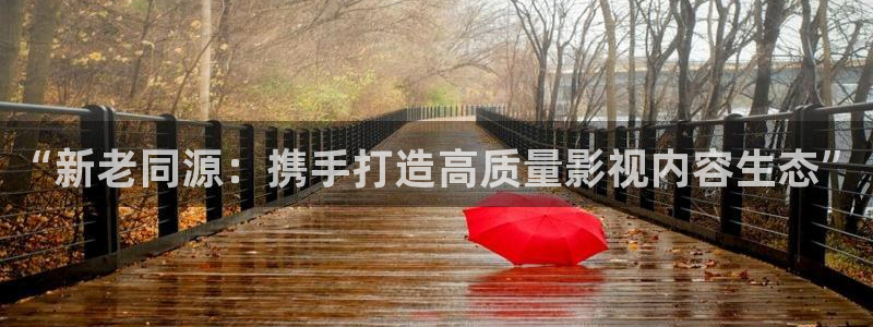 四虎最新影院在线观看：“新老同源：携手打造高质量影视内容生态”