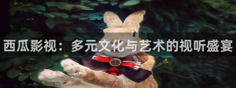 四虎影视网在线观看：西瓜影视：多元文化与艺术的视听盛宴