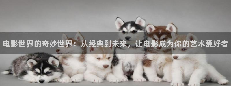 四虎影院视频在线：电影世界的奇妙世界：从经典到未来，让电影成为你的艺术爱好者